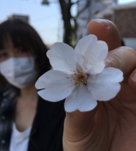 「あっぱれKANAGAWA大行進」卒業したのですが、、、